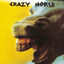 Cover Crazy Horse