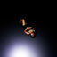 Cover Adrift