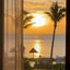 Cover Afternoon Sun