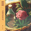 Cover AMNESIA