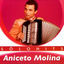 Cover Aniceto Molina Sólo Hits