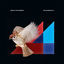 Cover Tones of the Sparrow