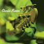 Cover Charlie Hunter