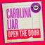 Cover Open the Door