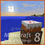 Cover Minecraft Note Block Songs 8