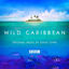 Cover Wild Caribbean - Original Music By David Lowe