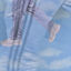 Cover Tage bis Sommer