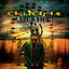 Cover Acid Reign