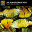 Cover V.A Flaviflorus 2024