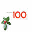 Cover 100 Best Carols