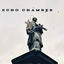 Cover Echo Chamber