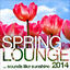 Cover Spring Lounge 2014 (Sounds Like Sunshine)
