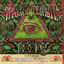Cover A Psych Tribute to the Doors