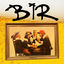 Cover Bir