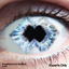 Cover Lost