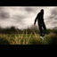 Cover Wilderness (Deluxe)