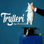 Cover Trylleri