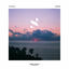 Cover Skies