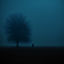 Cover before dawn
