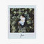 Cover frieden