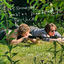 Cover Little Gods / My Suitor