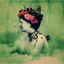 Cover Empress Rising