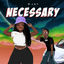Cover Necessary