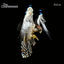 Cover Falcon