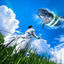 Cover heiwa : la plaine