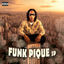 Cover Funk Pique Sp