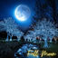 Cover Full Moon