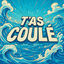 Cover T'as coulé