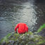 Cover L'homme à la rivière