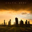 Cover Celtic Harp
