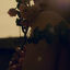 Cover letting you go (demo)