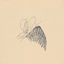Cover About B. (Memory Sketches B-Sides Recordings)