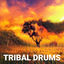 Cover Tribal Drums