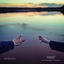 Cover Hands