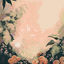 Cover okay