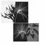 Cover New Environments & Rhythm Studies