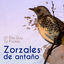 Cover Zorzales de Antaño…El Dia Que Te Fuiste