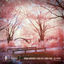 Cover Lily Garden