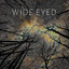 Cover Beyond the Horizon