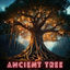 Cover Ancient Tree