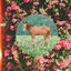 Cover Wildlife