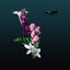 Cover V