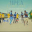 Cover IIPEA C’EST ZO