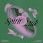 Cover Spirit Link