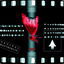 Cover BRP 56