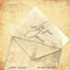 Cover Letter From Overseas (feat. Black Sherif)